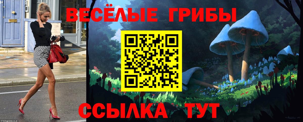 Галлюциногенные грибы мицелий Дзержинский