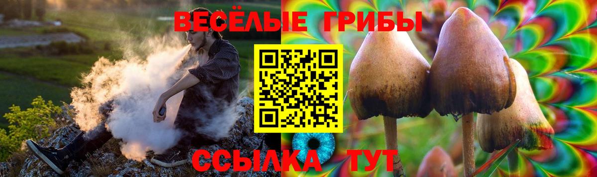 Дзержинский  Галлюциногенные грибы MAGIC MUSHROOMS  закладка  Вход с VPN  Псилоцибиновые грибы мухоморы 